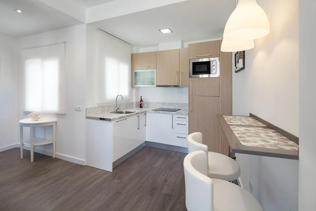 Inmalaga Penthouse Padilla Apartment Spain